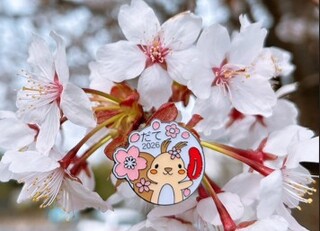 共同募金2026版ピンバッジができました！